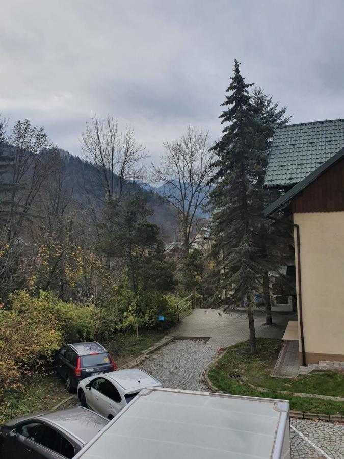 Szmaragdowy *
