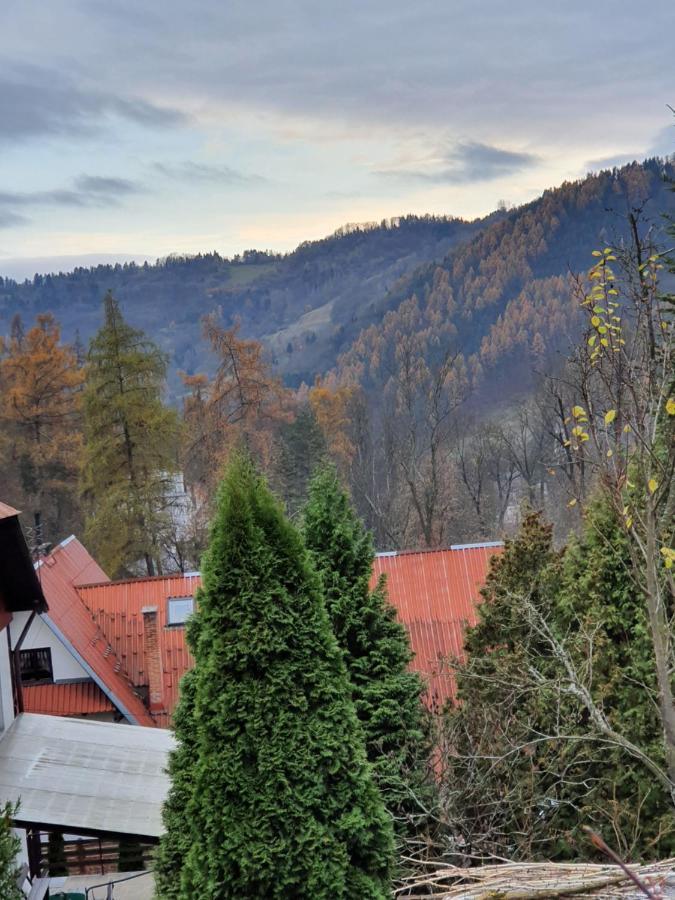 Apartamento Szmaragdowy *